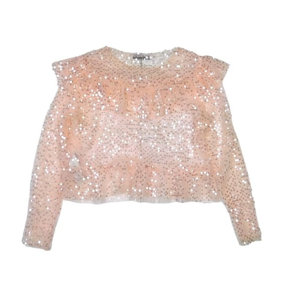 Zara Baby Pink Fairy Sheer Sequin Ruffle Long Sleeve Top Size Medium - Picture 2 of 4